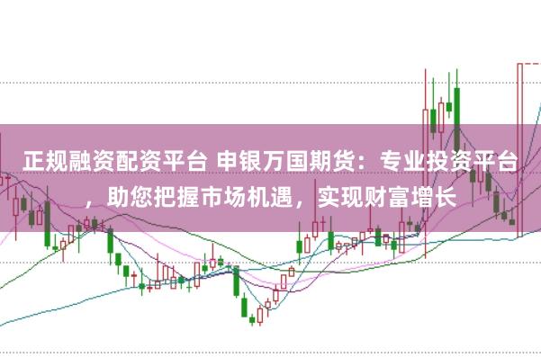 正规融资配资平台 申银万国期货：专业投资平台，助您把握市场机遇，实现财富增长