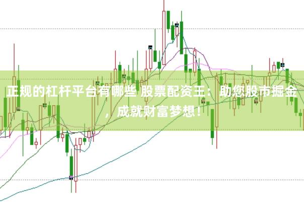正规的杠杆平台有哪些 股票配资王：助您股市掘金，成就财富梦想！