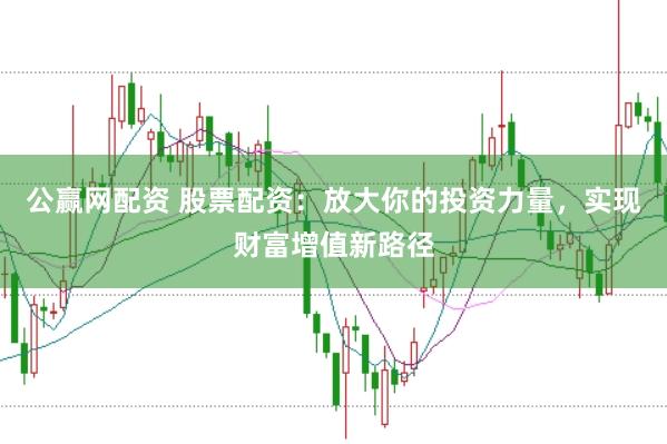 公赢网配资 股票配资：放大你的投资力量，实现财富增值新路径