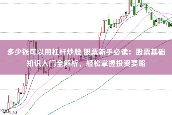 多少钱可以用杠杆炒股 股票新手必读：股票基础知识入门全解析，轻松掌握投资要略
