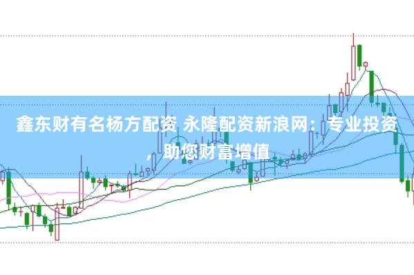 鑫东财有名杨方配资 永隆配资新浪网：专业投资，助您财富增值