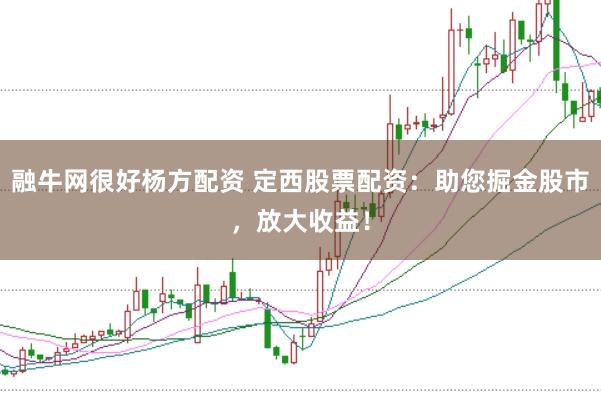 融牛网很好杨方配资 定西股票配资：助您掘金股市，放大收益！