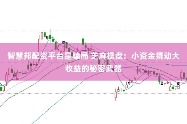 智慧邦配资平台是骗局 芝麻操盘：小资金撬动大收益的秘密武器