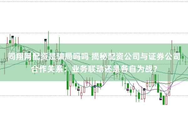 同翔网配资是骗局吗吗 揭秘配资公司与证券公司合作关系：业务联动还是各自为战？