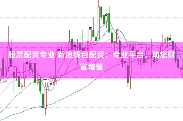 股票配资专业 新浪钱包配资：专业平台，助您财富增值