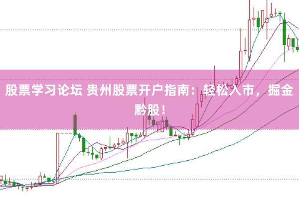 股票学习论坛 贵州股票开户指南：轻松入市，掘金黔股！