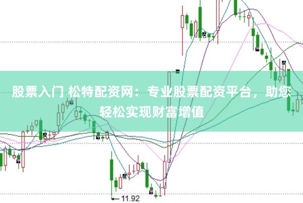 股票入门 松特配资网：专业股票配资平台，助您轻松实现财富增值