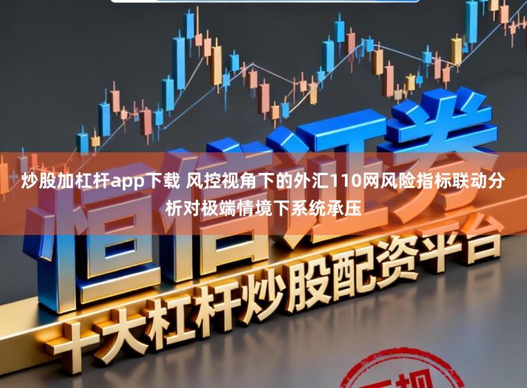 炒股加杠杆app下载 风控视角下的外汇110网风险指标联动分析对极端情境下系统承压