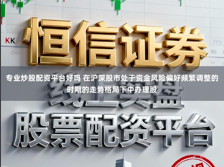 专业炒股配资平台好吗 在沪深股市处于资金风险偏好频繁调整的时期的走势格局下中办理股