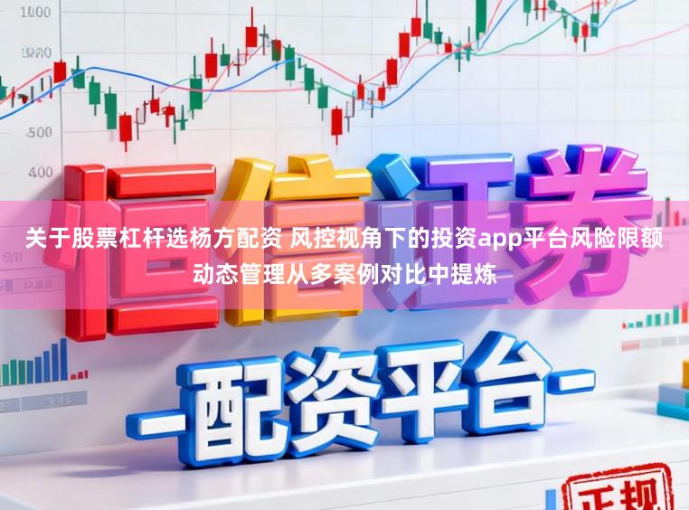 关于股票杠杆选杨方配资 风控视角下的投资app平台风险限额动态管理从多案例对比中提炼