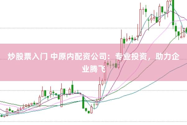 炒股票入门 中原内配资公司：专业投资，助力企业腾飞