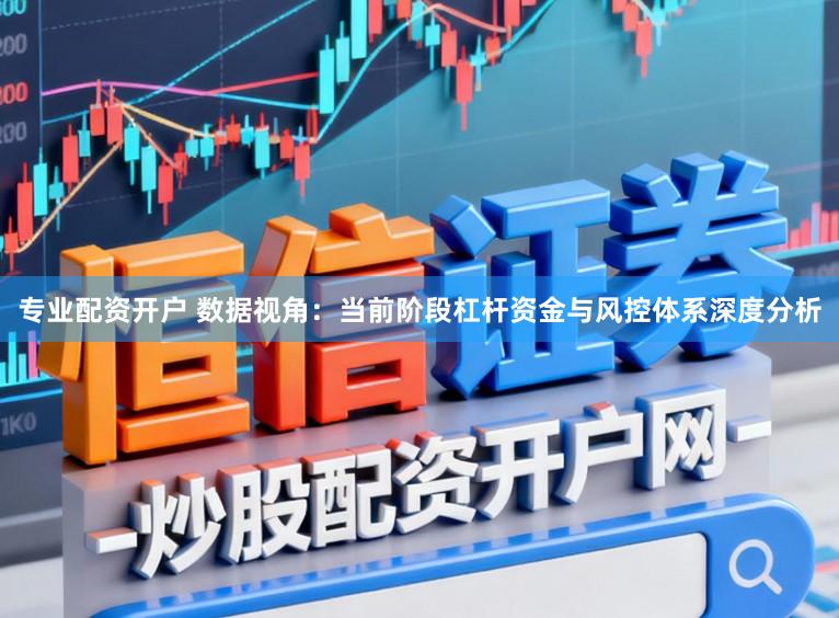 专业配资开户 数据视角：当前阶段杠杆资金与风控体系深度分析